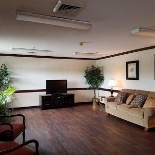 A cozy living room with a sofa, television, and decorative plants.