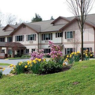 A suburban house with a beautifully landscaped garden in spring.