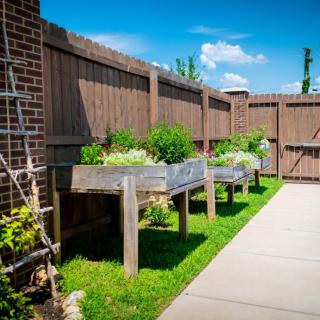 A backyard with wooden raised garden beds alongside a fence on a sunny day.