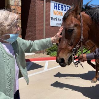 An elderly woman gently pets a horse outside a care facility, showcasing a heartwarming interaction.