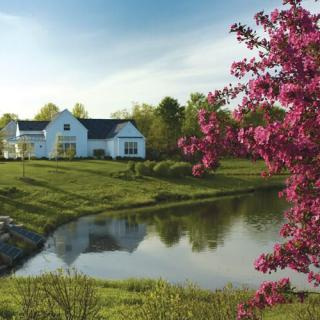 A picturesque house by a serene pond with blooming trees in spring.