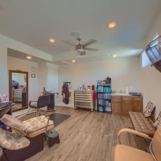 A modern pet grooming salon with organized stations and comfortable seating.