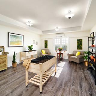 A modern living room with wood flooring, stylish furniture, and vibrant plants.