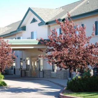 A building entrance flanked by blooming trees.