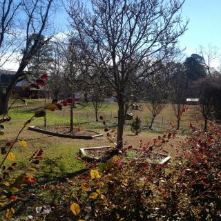 A serene garden landscape with trees on a sunny day.