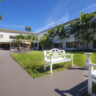 A sunny courtyard with white benches and lush greenery surrounded by palm trees.