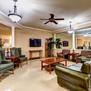 A stylish and inviting living room with comfortable seating, warm lighting, and a touch of greenery.