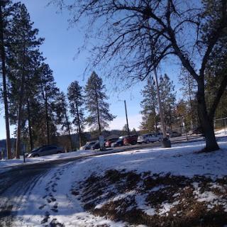 A serene winter landscape featuring snow-covered ground and tall trees under a clear blue sky.
