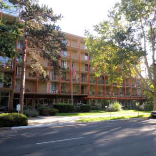 A modern residential building surrounded by trees, capturing a serene street view.