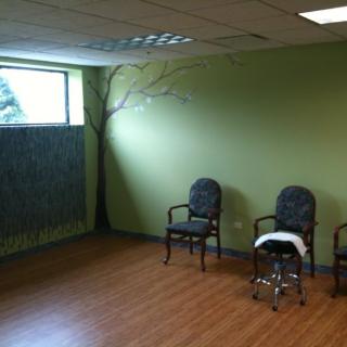 A quiet waiting room with green walls, wooden flooring, and three chairs.