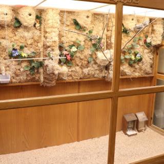 A cozy wooden interior featuring a floral display on the wall.