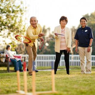 A group of adults enjoying a game of croquet on the lawn during a sunny day.