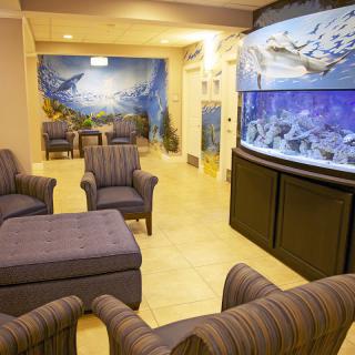 A waiting room featuring comfortable seating and a large aquarium.