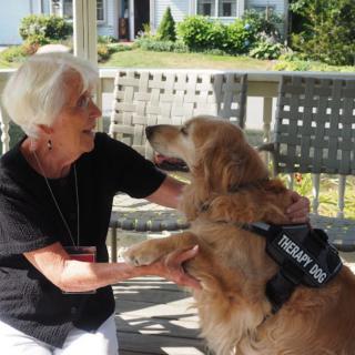 An elderly woman interacting with a therapy dog outdoors.