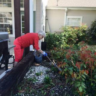 Two people working together in a garden by their house.