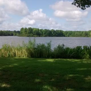 A serene view of a lake surrounded by lush greenery and a clear sky.