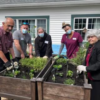 Volunteers working together in a community garden, planting herbs and enjoying outdoor teamwork.