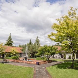 A tranquil park setting with a central fountain surrounded by trees and pathways under a cloudy sky.
