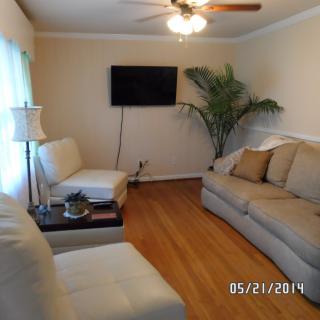 Cozy living room with a modern layout, featuring a sofa, TV, lamp, and a decorative plant.