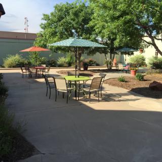 A sunny outdoor patio area with tables, chairs, and umbrellas surrounded by greenery.