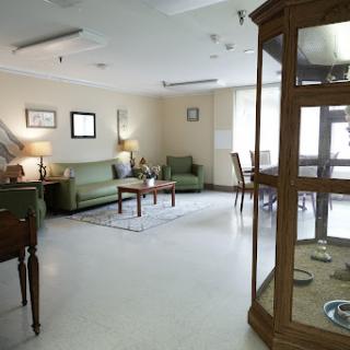 A cozy lounge area featuring green sofas, a wooden display case, and ambient lighting, creating a welcoming atmosphere.