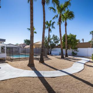 A sunny backyard featuring palm trees and a fenced swimming pool.