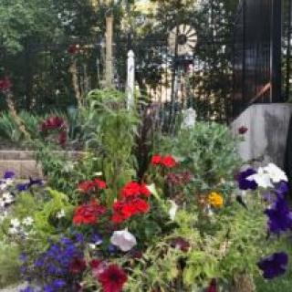 A vibrant garden with an array of colorful flowers in full bloom.