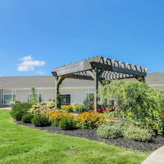 A beautifully landscaped garden with a wooden pergola under a clear blue sky.