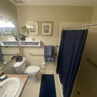 A well-organized bathroom with a blue color scheme, featuring a sink, mirror, toilet, and shower area.