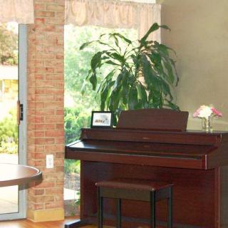An elegant living room with a piano and greenery.