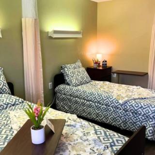 A cozy bedroom with two twin beds adorned with geometric-patterned bedding, featuring a potted plant and a soft-lit lamp for a serene atmosphere.