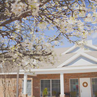 A house with a blooming tree in the foreground, capturing the essence of spring.