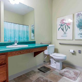 A well-lit bathroom featuring a green countertop, sink, toilet, and framed floral artwork.