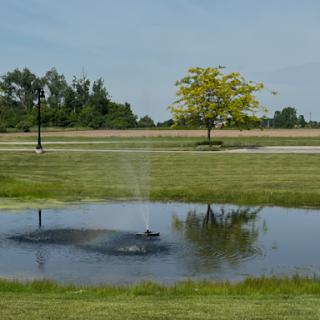 A serene park scene featuring a fountain in a pond, surrounded by lush grass and a solitary tree.
