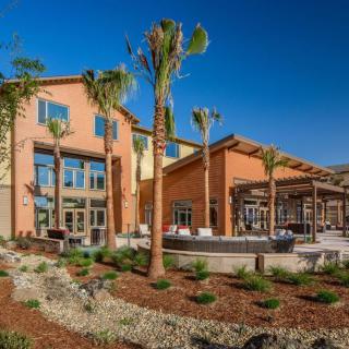 A sunny view of a resort with palm trees and landscaped surroundings.