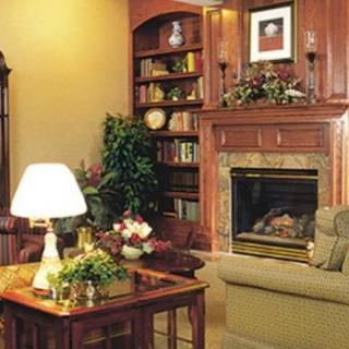 Cozy living room with a fireplace and bookshelf.
