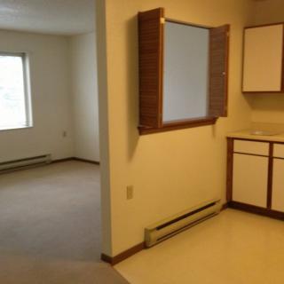 An empty apartment showing a kitchen and adjoining living area with natural light from a window.