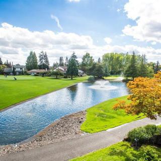 A serene park landscape featuring a pond, lush green grass, and trees under a bright blue sky with clouds.