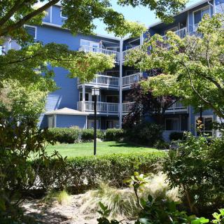 A view of an apartment building surrounded by lush greenery and landscaped gardens.