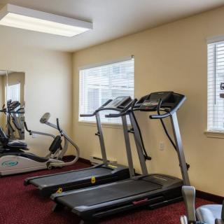 A small gym with treadmills and exercise equipment.