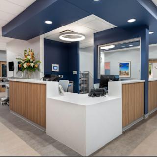 A modern reception area in a medical office, featuring a welcoming front desk and stylish decor.