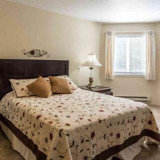 A cozy bedroom with a neatly made bed, decorative pillows, and a lamp by the window.