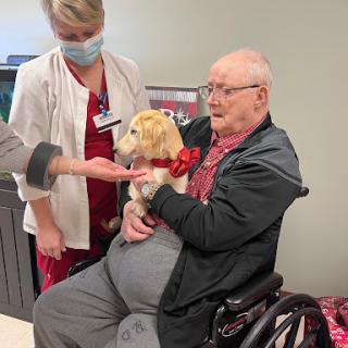 An elderly man in a wheelchair happily interacts with a therapy dog, accompanied by healthcare staff.