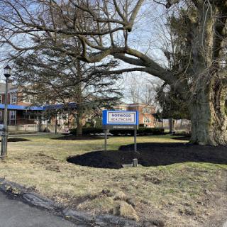 A tree stands prominently in a park setting, next to a sign surrounded by freshly mulched ground.