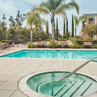 A serene outdoor area featuring a swimming pool and hot tub surrounded by palm trees and lush landscaping.