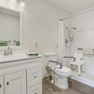 A modern bathroom featuring a toilet with safety grab bars, a shower nook, and a stylish vanity.
