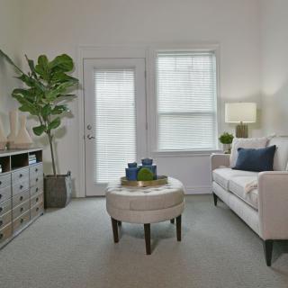 A modern living room with a sofa, coffee table, and decorative plants.