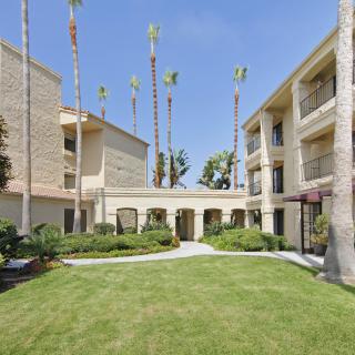 A courtyard with manicured lawn and palm trees between two apartment buildings.