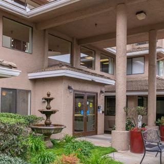 An entrance to a residential building featuring a fountain and surrounded by plants.