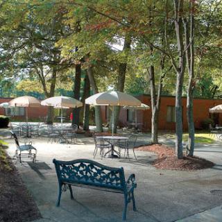 A serene outdoor seating area surrounded by trees, featuring benches and umbrellas for shade.